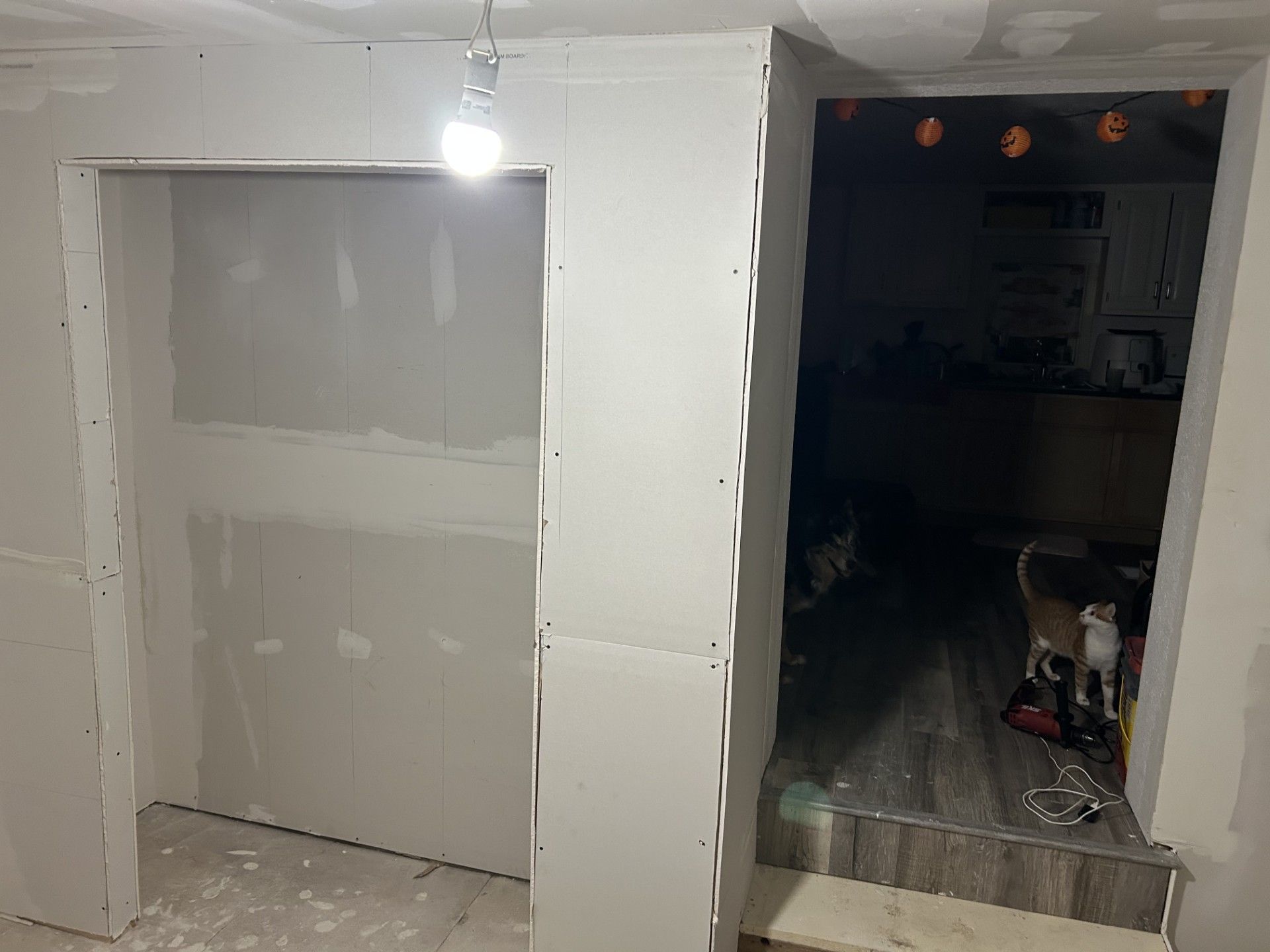 A newly installed drywall partition with an open doorway, adjacent to a dark, finished hallway with stairs and a cat.