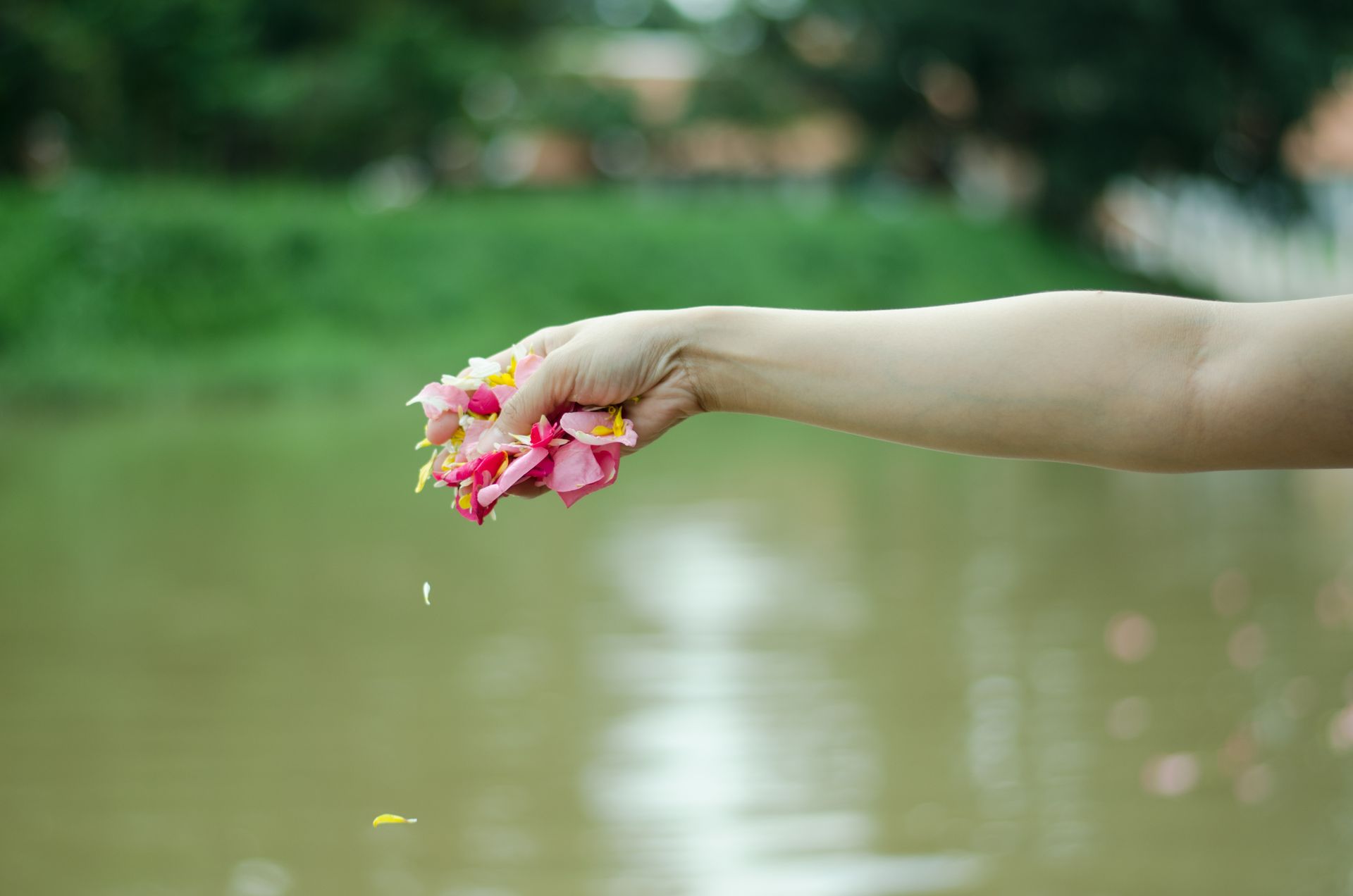Where to scatter loved ones ashes and how to do appropriately