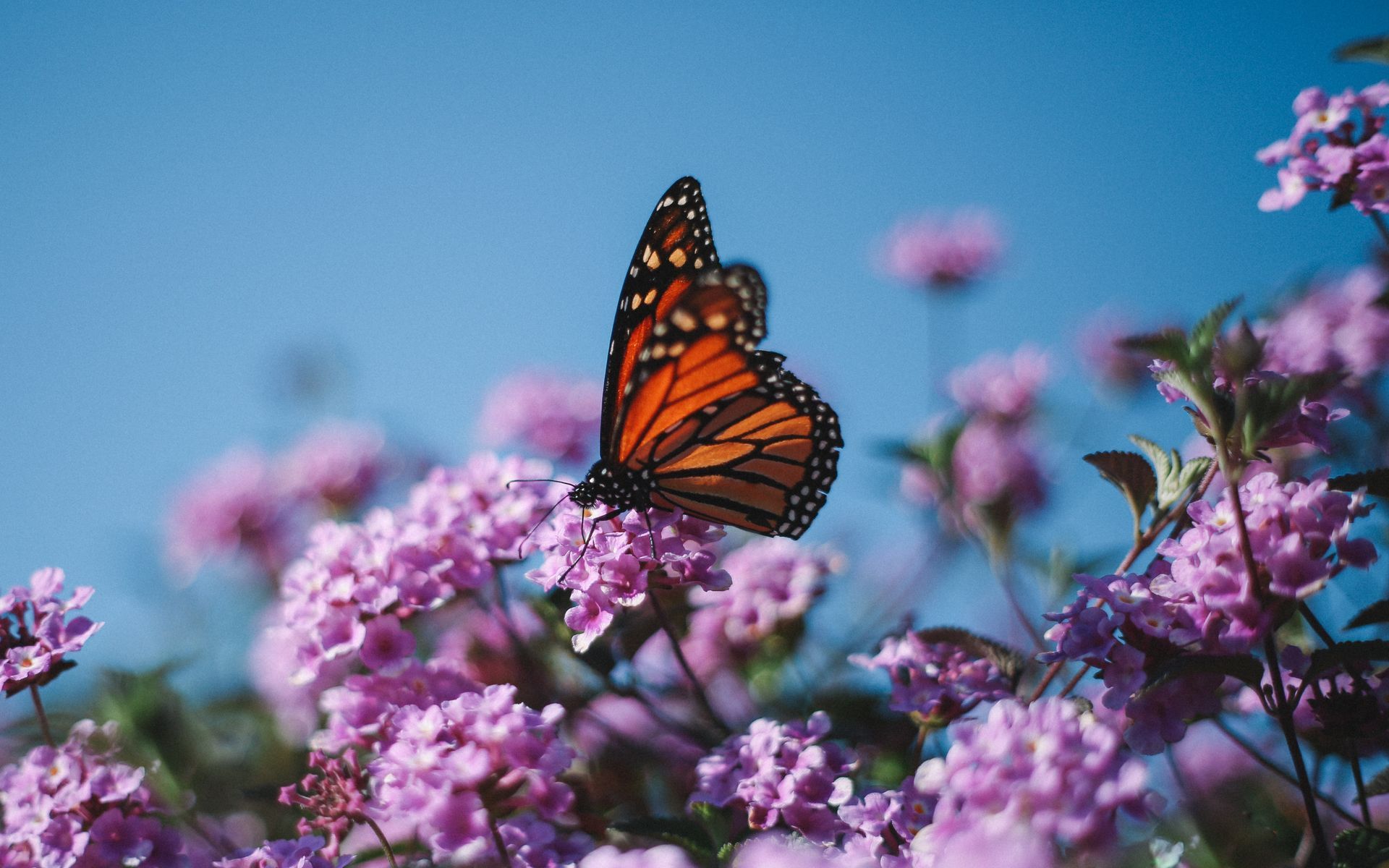Funeral Services provided by Hayworth-Miller Funeral Homes & Crematory