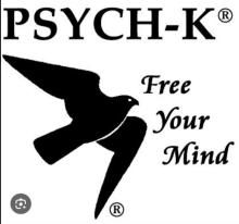 The PSYCH-K logo, featuring a black silhouette of a bird in flight next to the text 