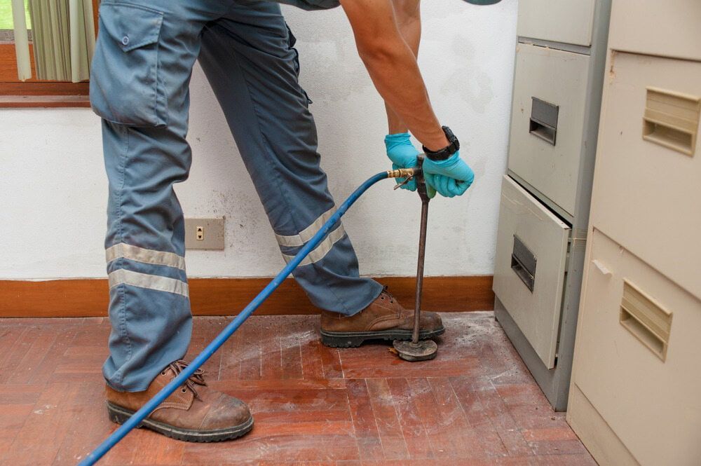 A Man is Using a Hose to Catch a Snake in a Room — Audy Geiszler Pest Control in Ayr, QLD 