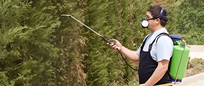A Man Wearing a Mask is Spraying a Tree With a Sprayer — Audy Geiszler Pest Control in Ayr, QLD