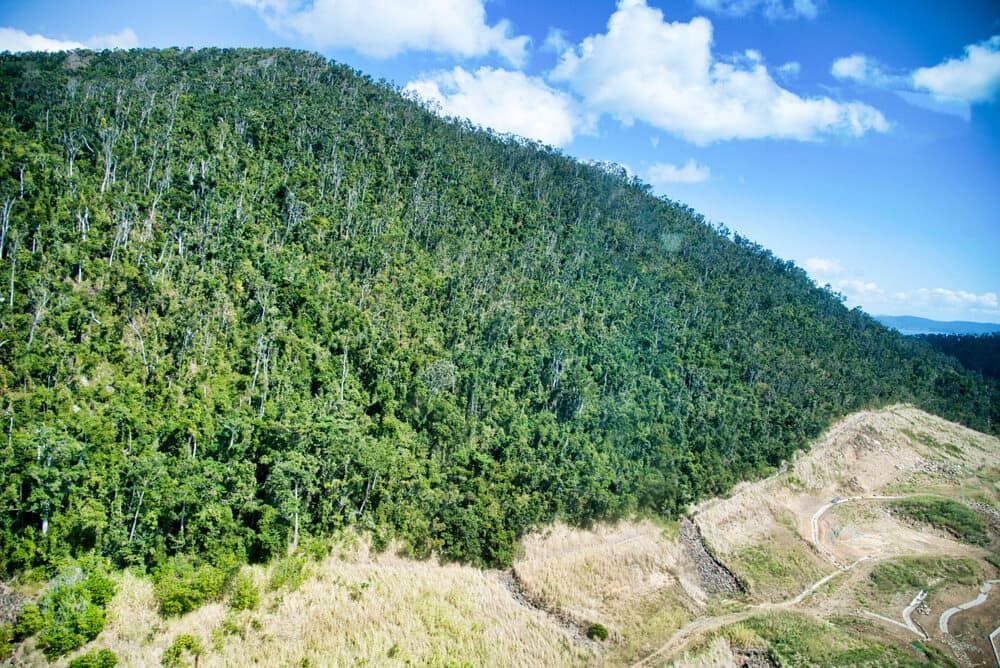 An Aerial View of a Mountain Covered in Trees on a Sunny Day — Audy Geiszler Pest Control in Airlie Beach, QLD