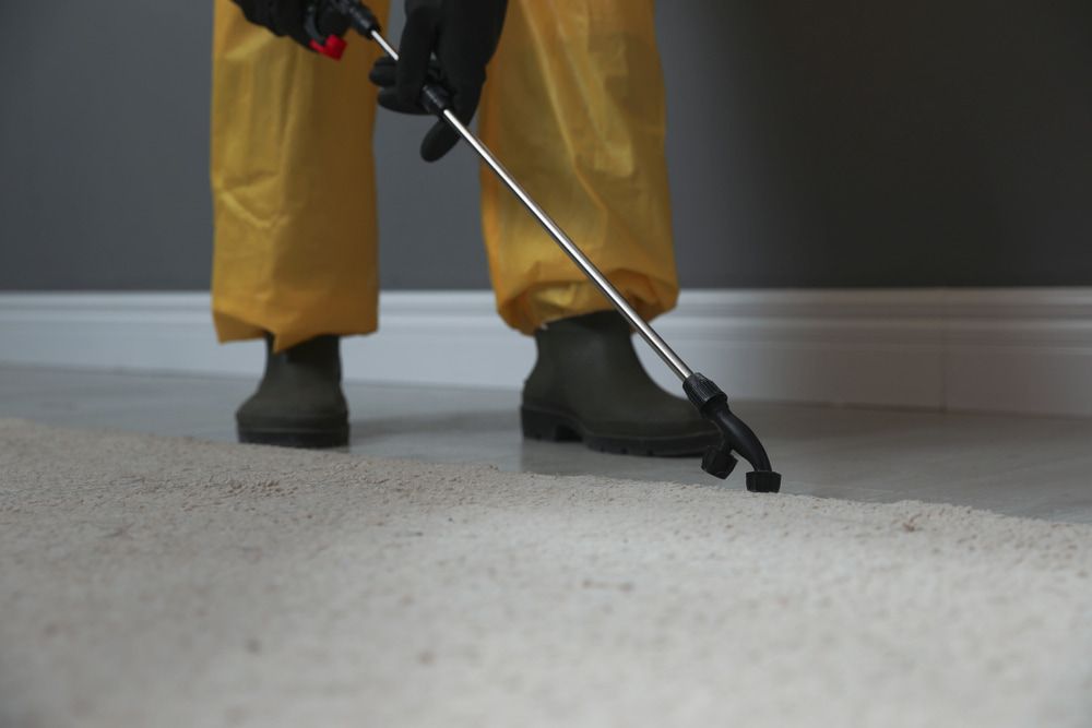 A Person in a Yellow Suit is Spraying a Carpet With a Sprayer — Audy Geiszler Pest Control in Ayr, QLD