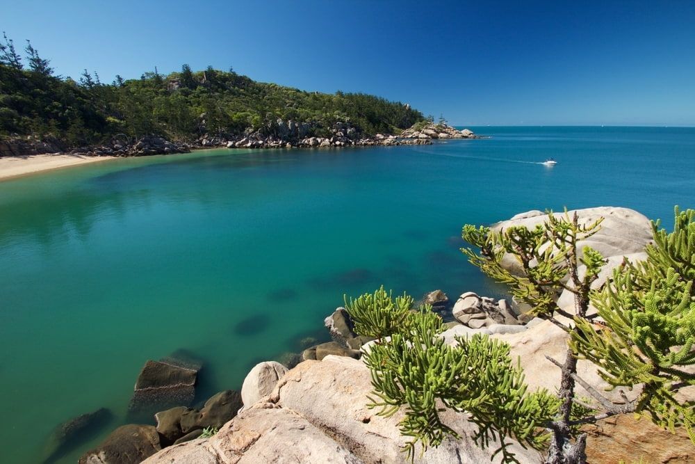 A Large Body of Water Surrounded by Rocks and Trees — Audy Geiszler Pest Control in Townsville, QLD