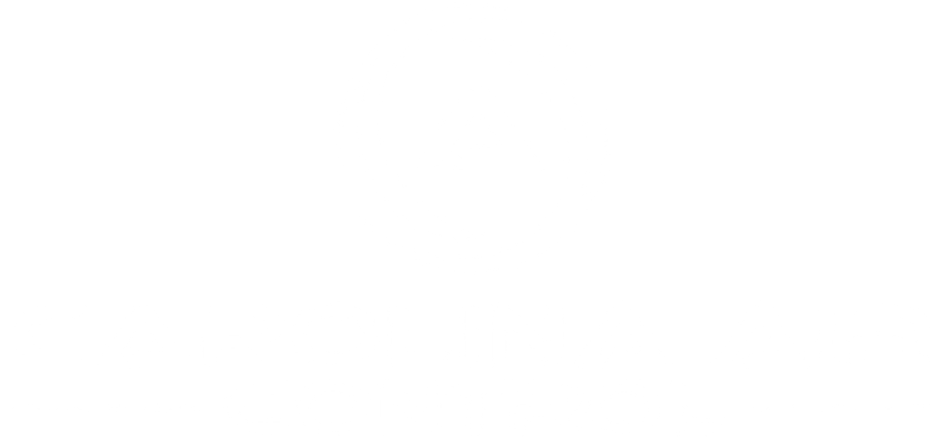 Carolina Air Control