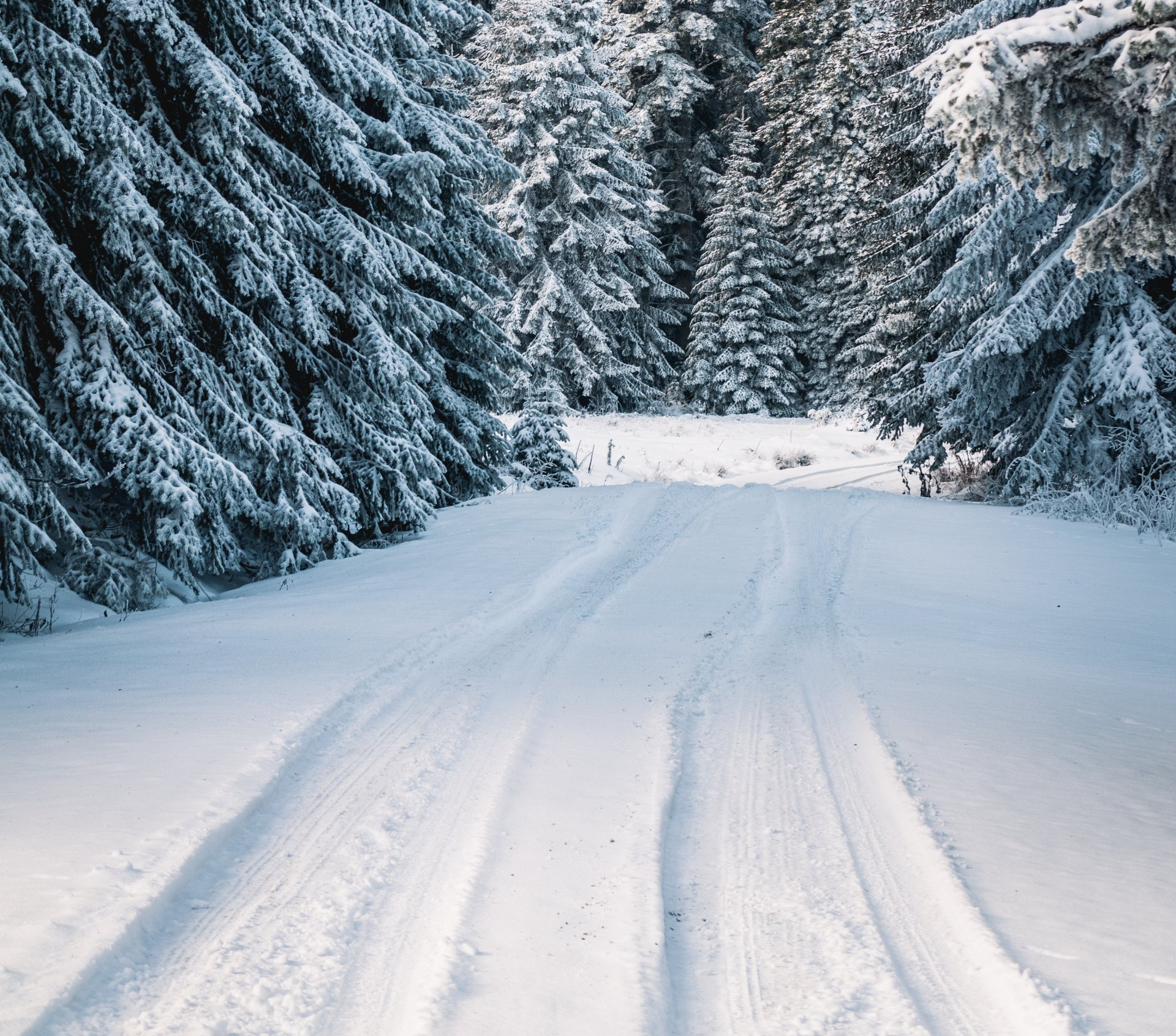 Winter in Prince Edward County