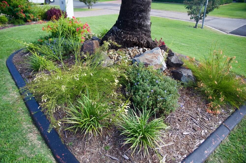 Russelia Equisetiformis Lemon Falls in a garden