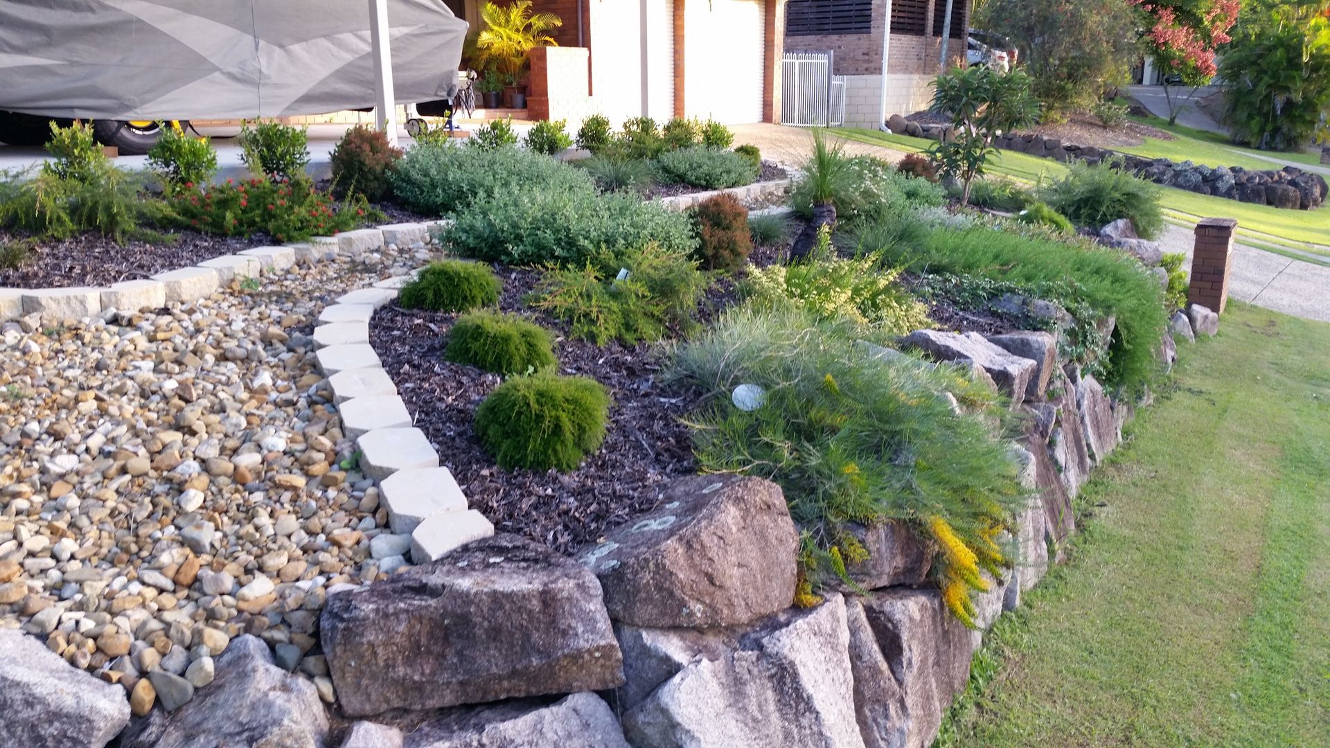 Top 100 Best Landscape Plants For Australia