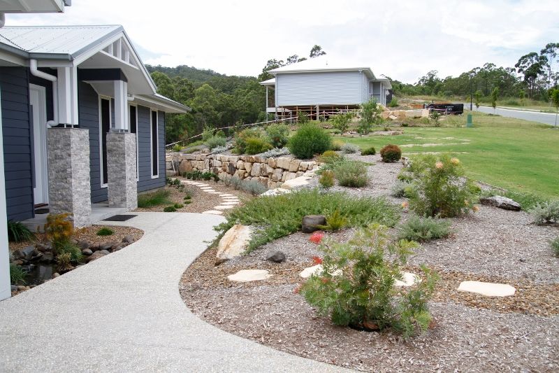 Baeckea Virgata Miniature (dwarf) in a landscaped home garden