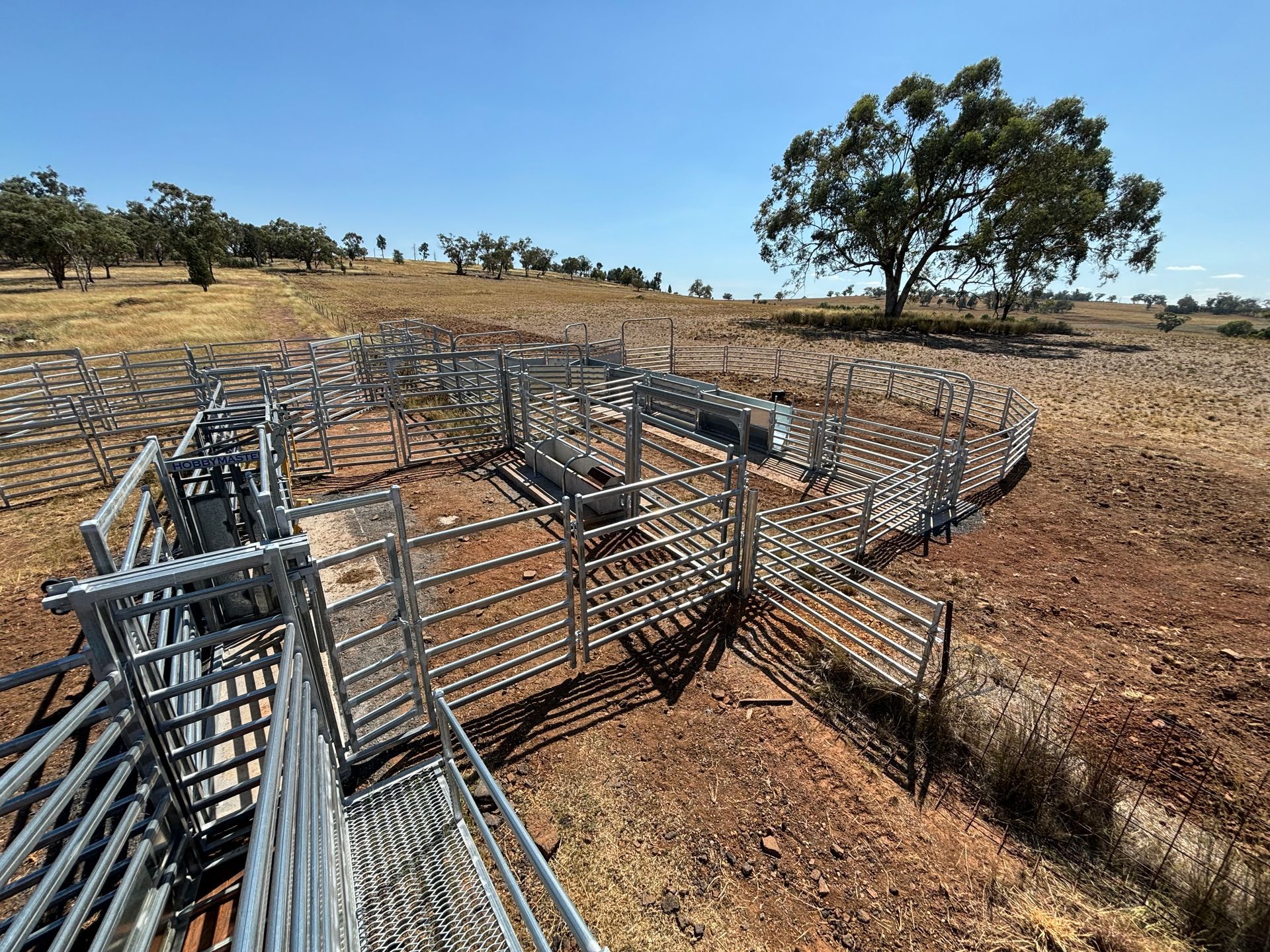 Metal livestock yard on dry, brown, grassy land under a blue sky, with scattered trees.