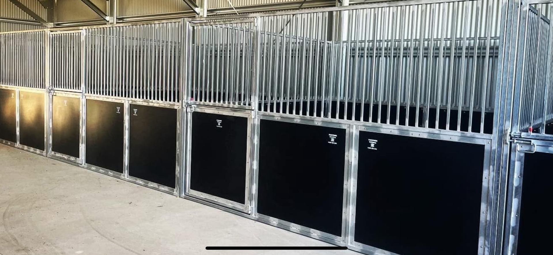 Two Horses Are Grazing in A Fenced in Area — Ballimore Welding in Ballimore, NSW
