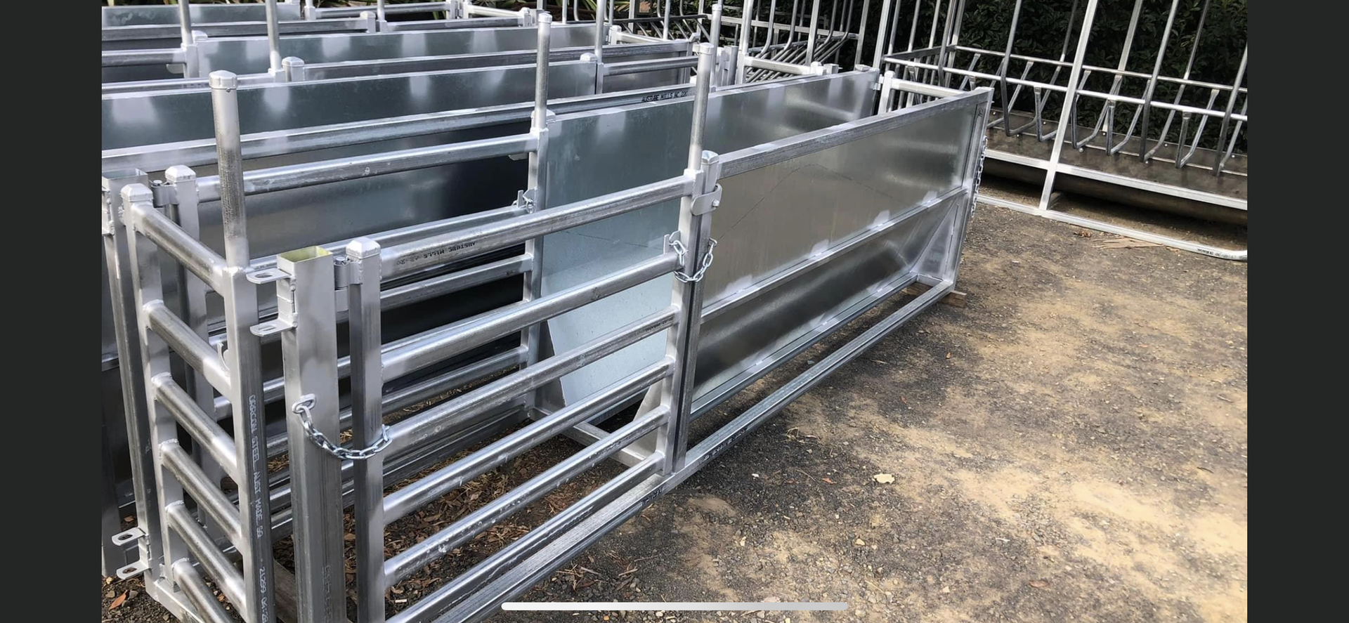 Metal livestock handling equipment outdoors.