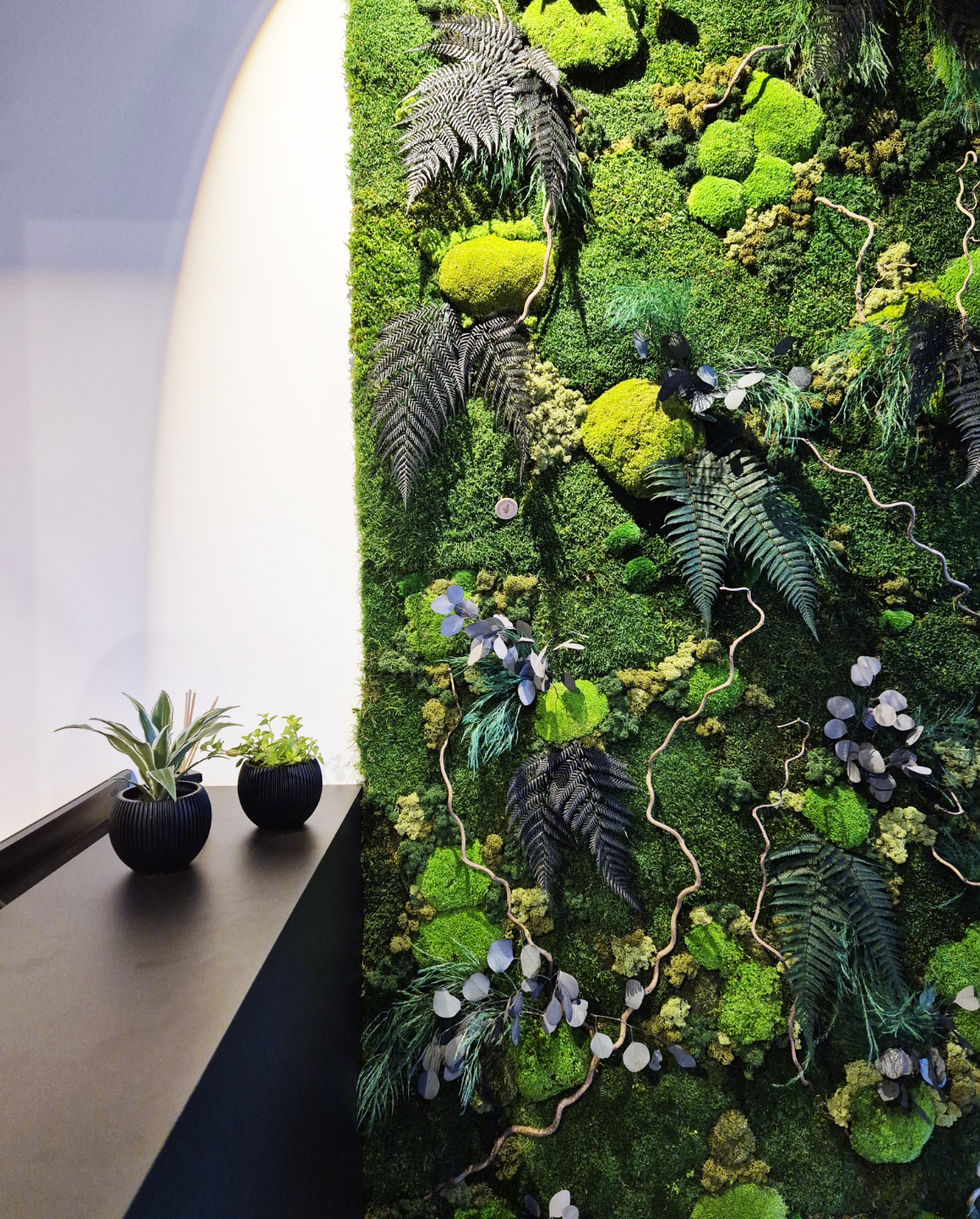 Green moss wall with various plants and small potted plants on a black shelf.