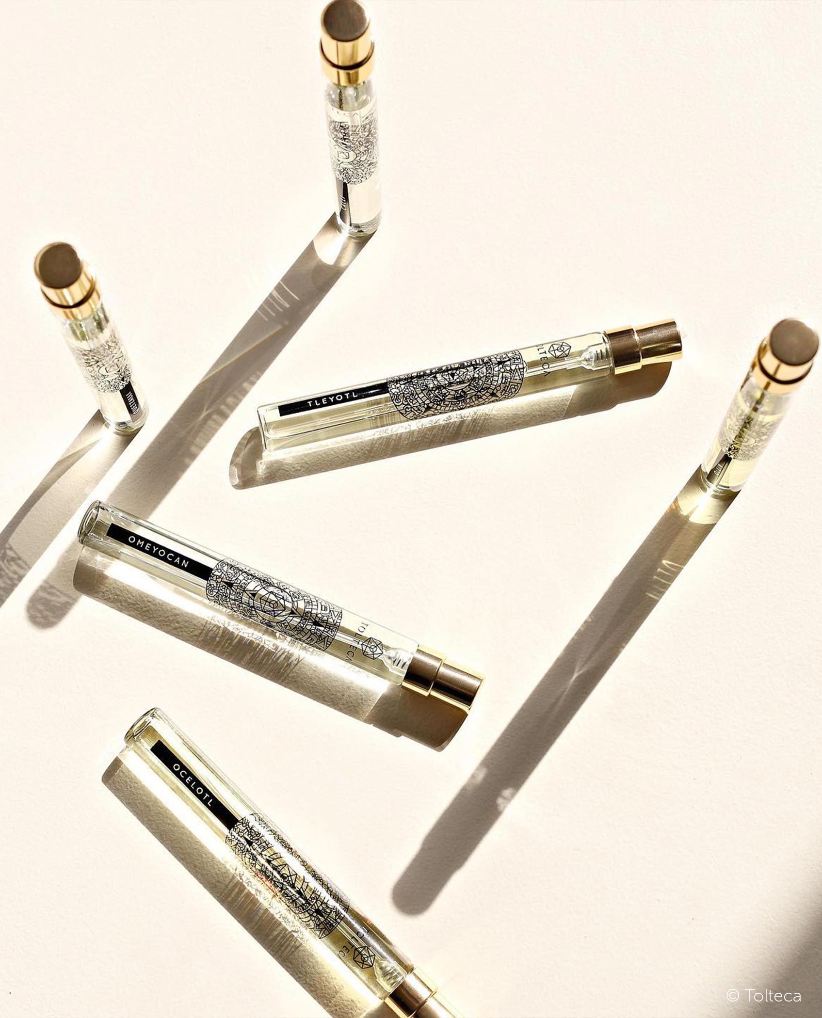 Six perfume bottles with gold caps, casting long shadows on a white surface.