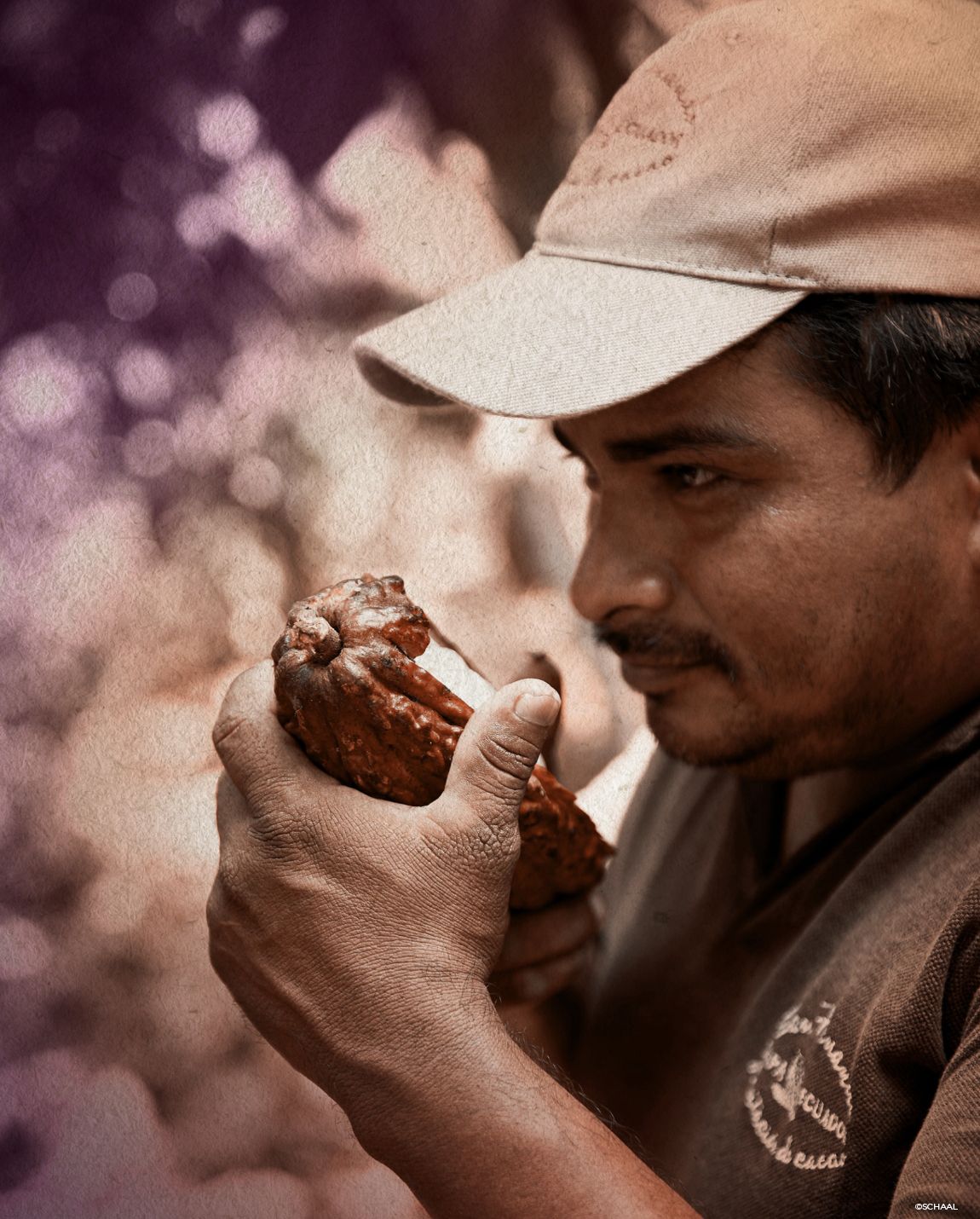 Man holding and inspecting a cocoa pod. He wears a cap and looks focused.