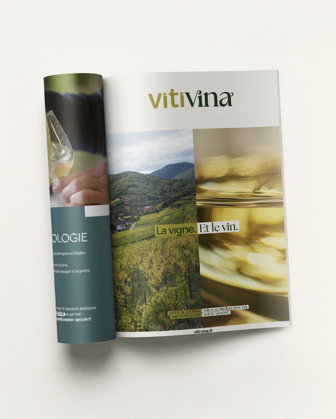 Brochure titled “vitivina” partially open, showing wine, vineyards, and text in gold and teal.