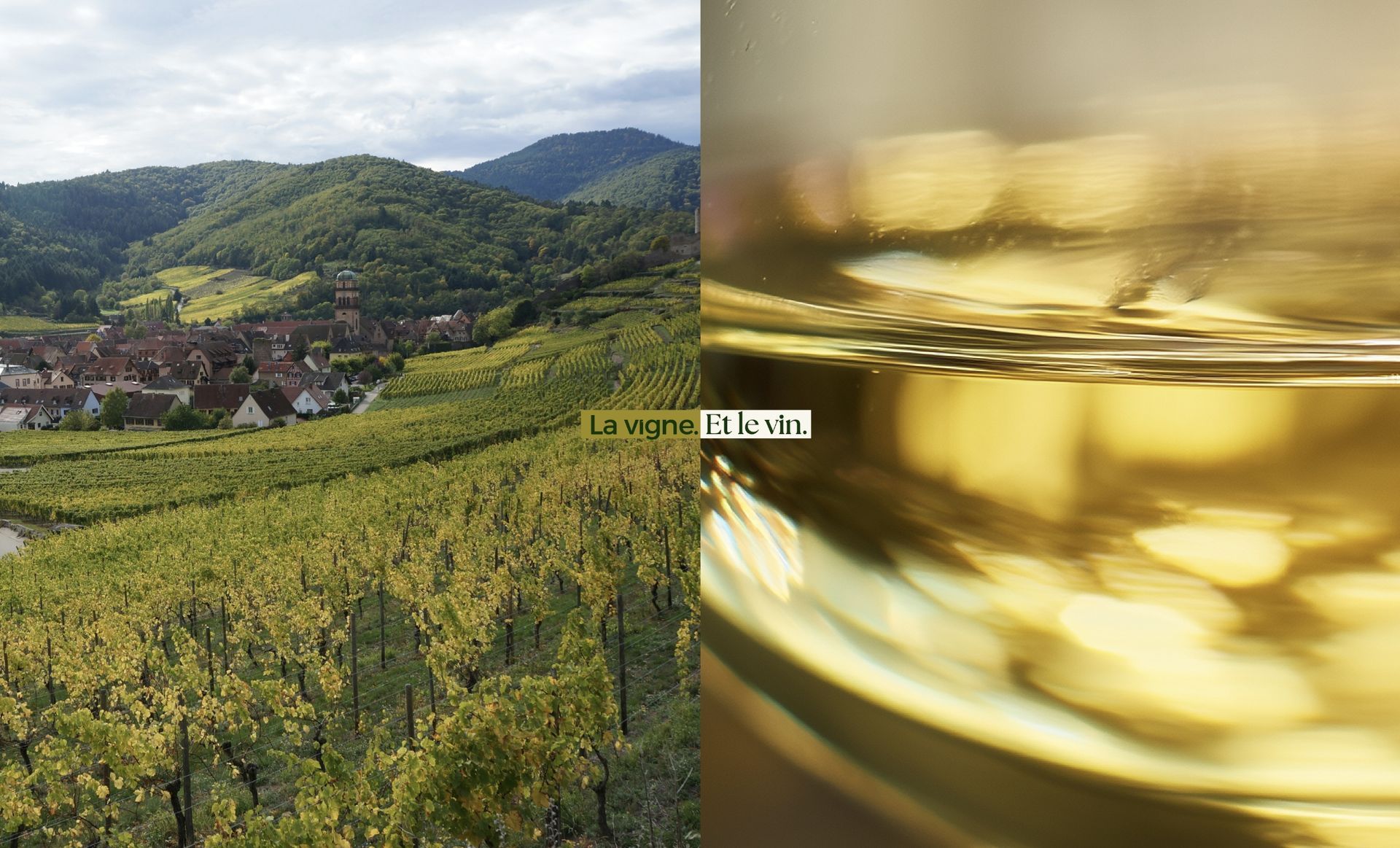 Vineyard landscape and close-up of white wine in a glass. Green hills, village in background.