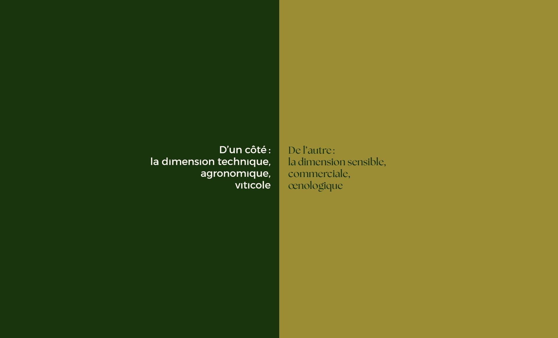 Green and gold split screen with text. Vitivina
