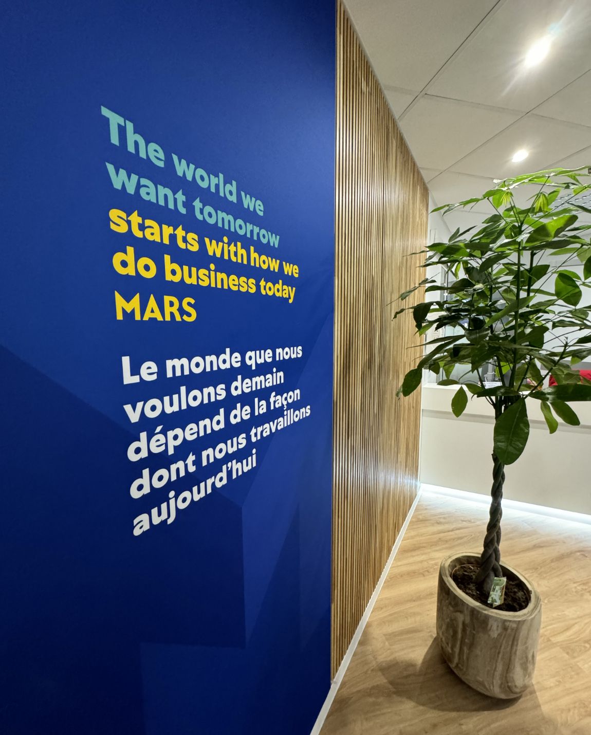 Blue wall with text in English and French, beside a wood-paneled wall and a potted plant.