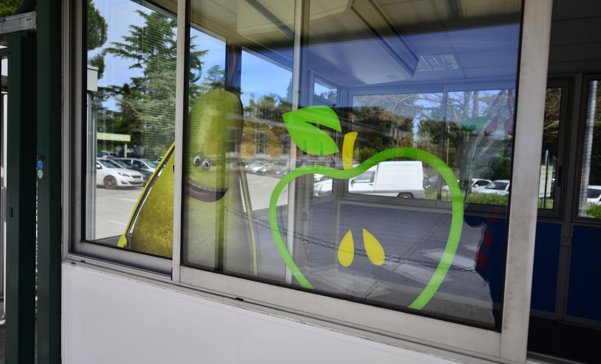 Window with large pear and green apple decals, reflecting a parking lot and trees.