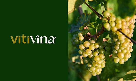 Logo « vitivina » à côté d'un gros plan de raisins verts sur la vigne.