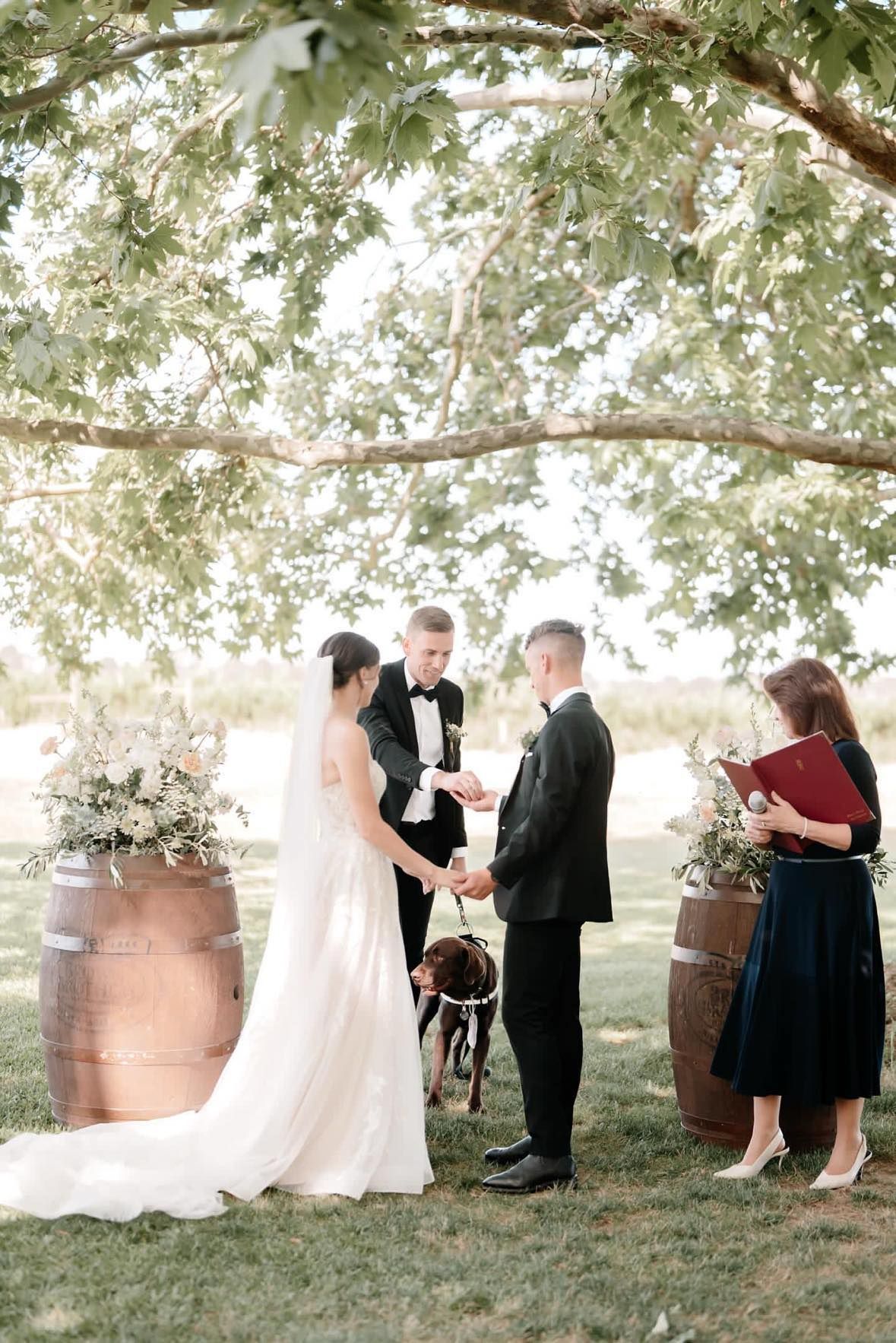 FAQ - Can My Dog Be Part of My Wedding Ceremony?
