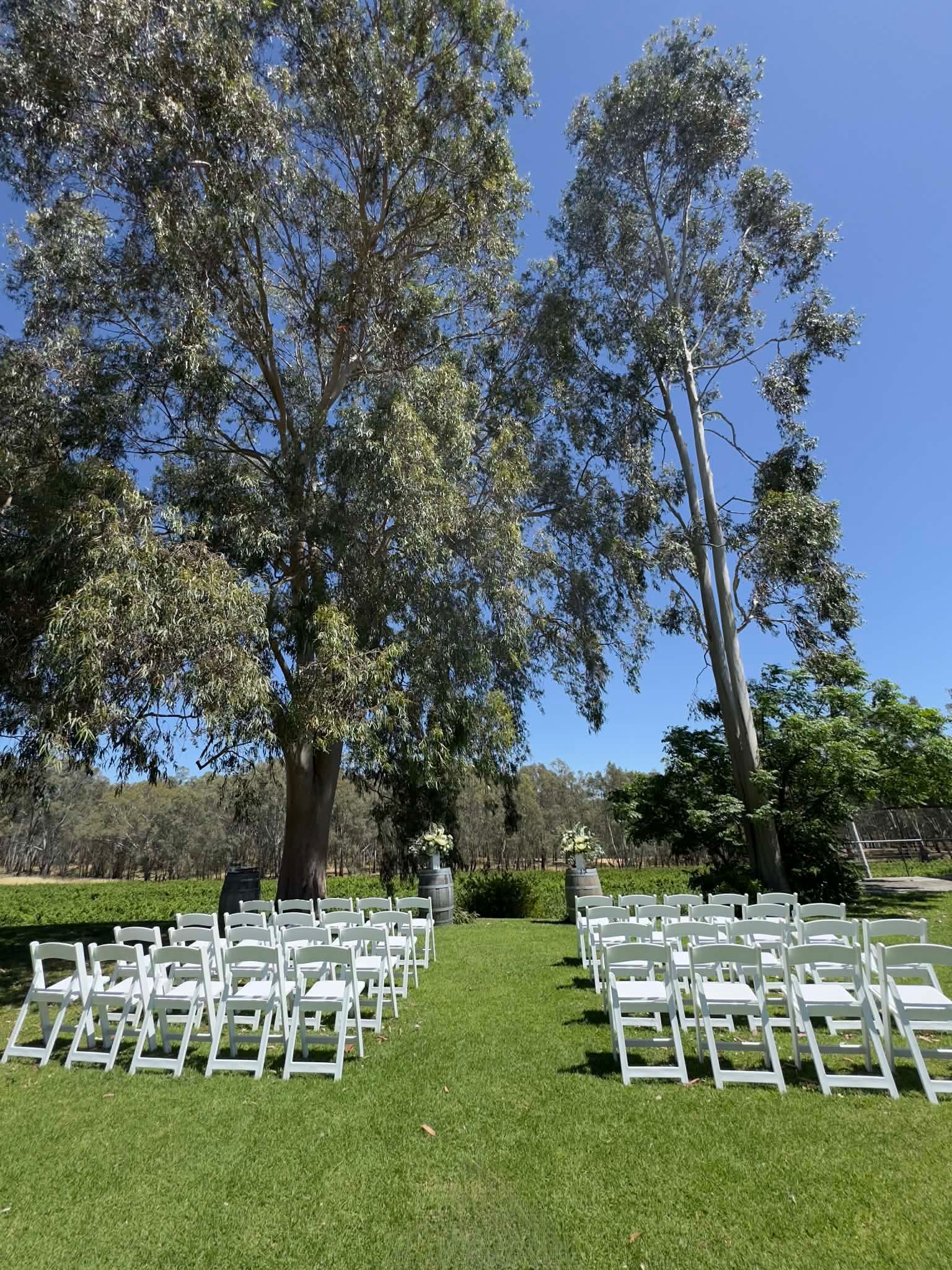 Lauren and Lindsay's relaxed summer wedding at St Leonards Vineyard, Rutherglen. Vendor credits and celebrant Cheryl Warry