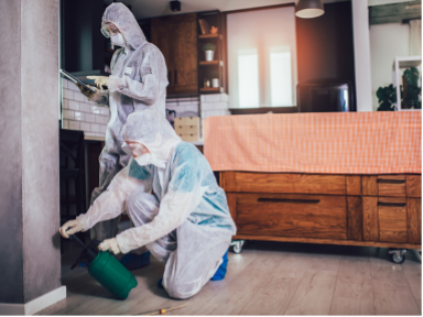 Two rodent control technicians in protective gear sanitizing a room with a green sprayer in Columbus Ohio