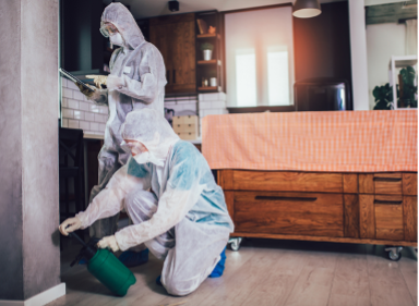 Two people in protective suits cleaning a floor in a modern kitchen or living room, performing insect control in Columbus Ohio