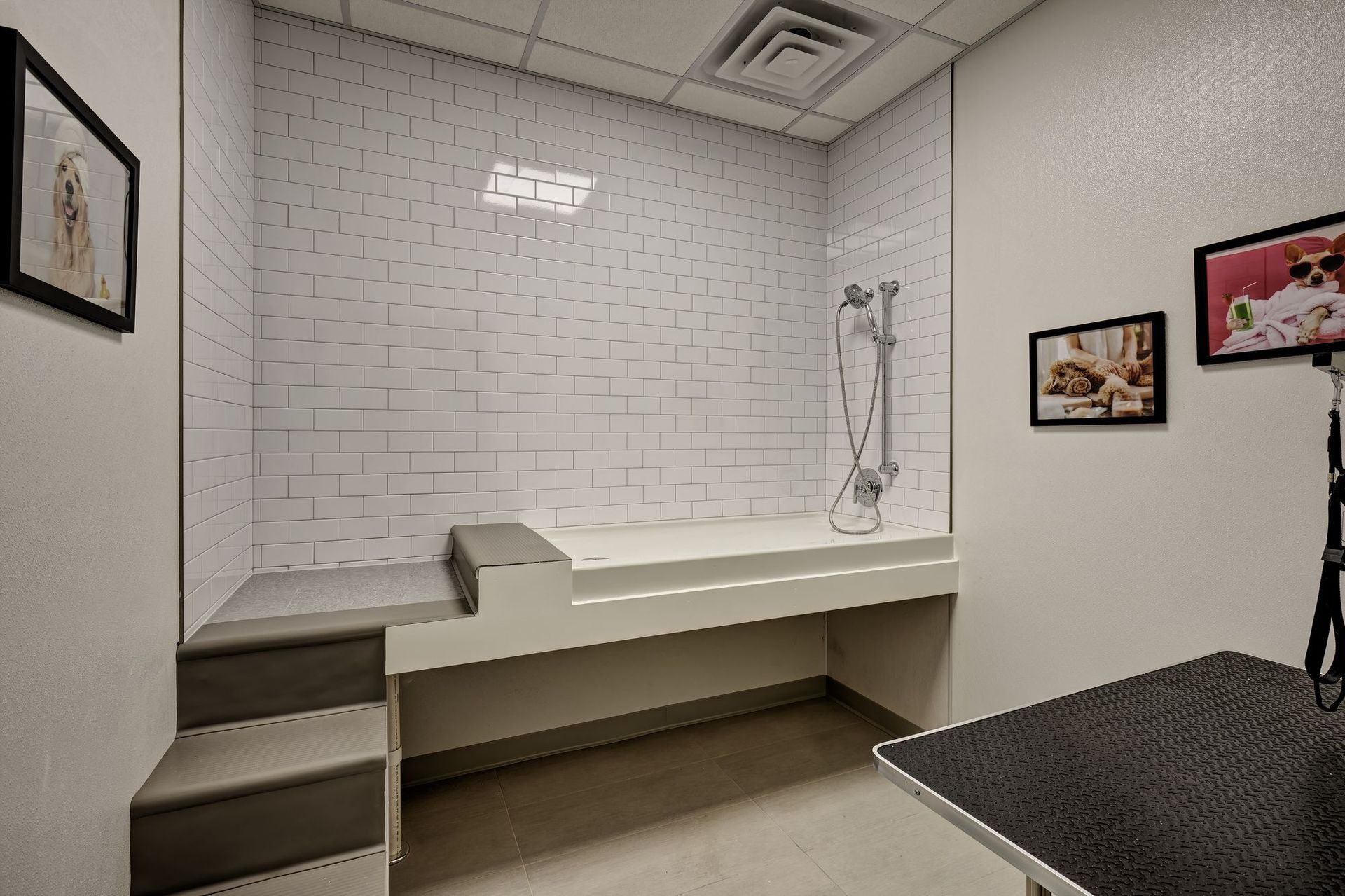 A dog grooming room with a bathtub and stairs.