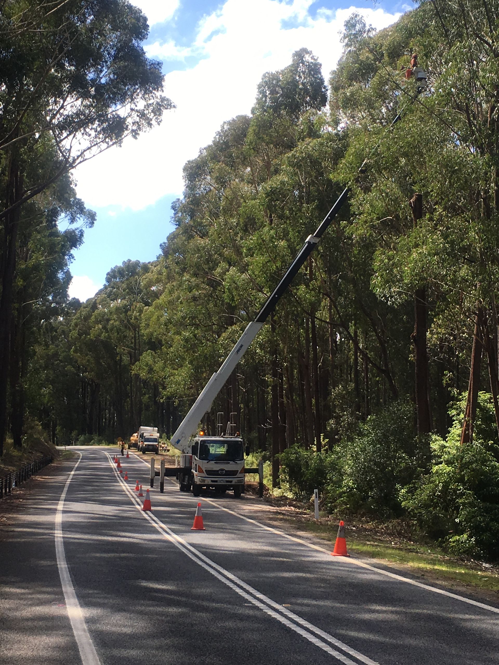 Truck Crane Trimming Tall Trees By Road