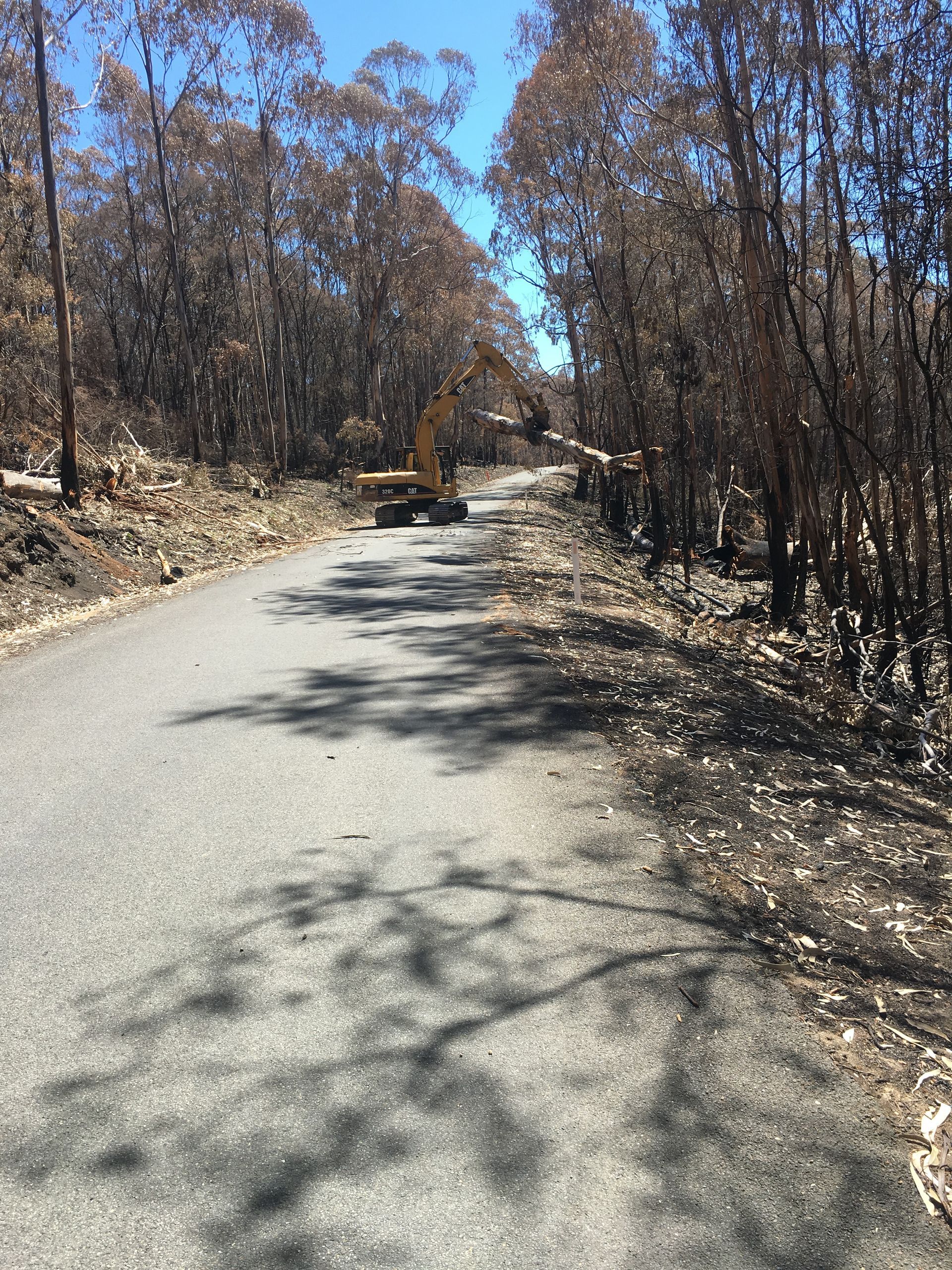 Excavator Clearing Fallen Tree After Fire.