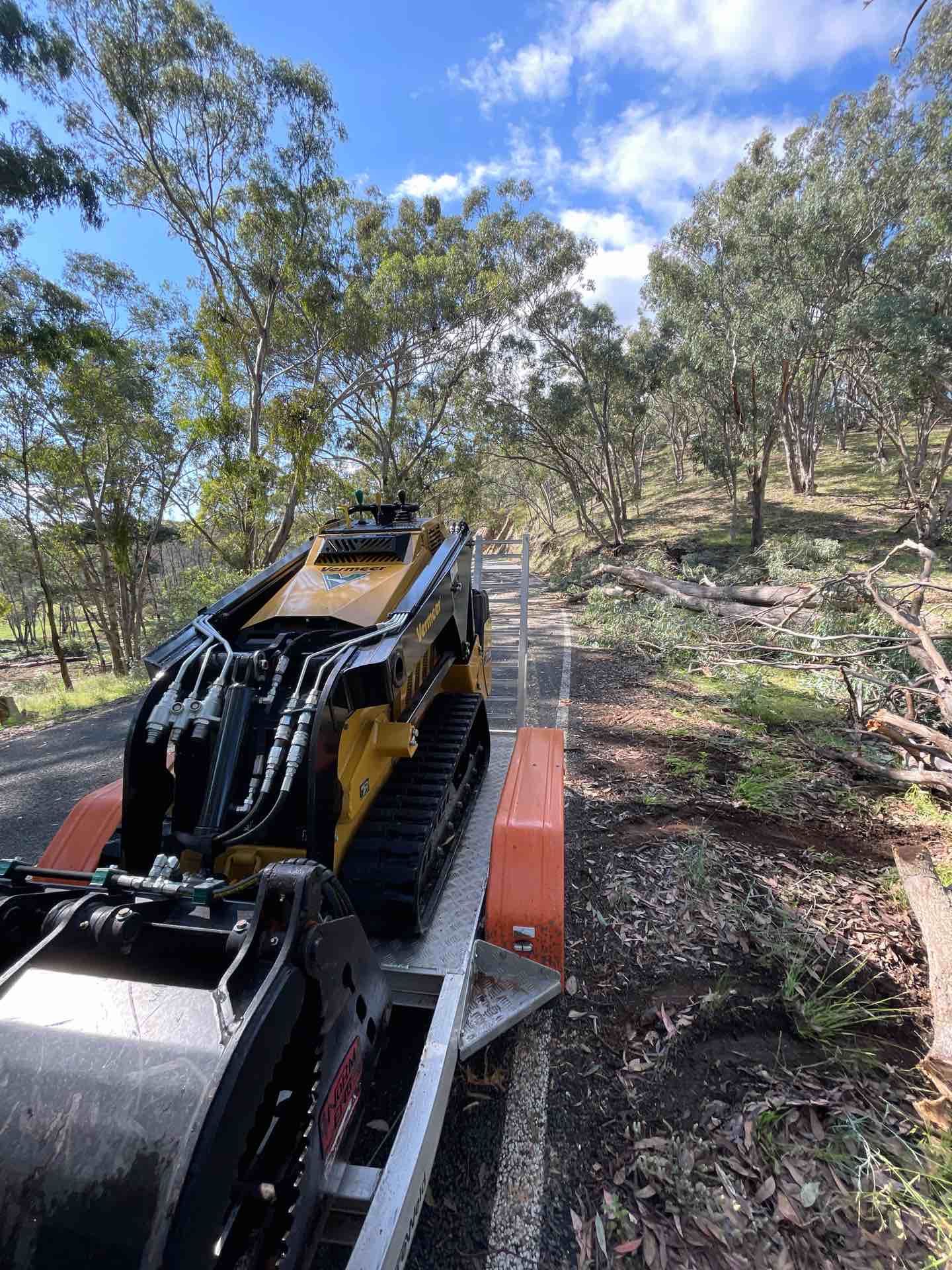 Machine On Trailer In Forest.
