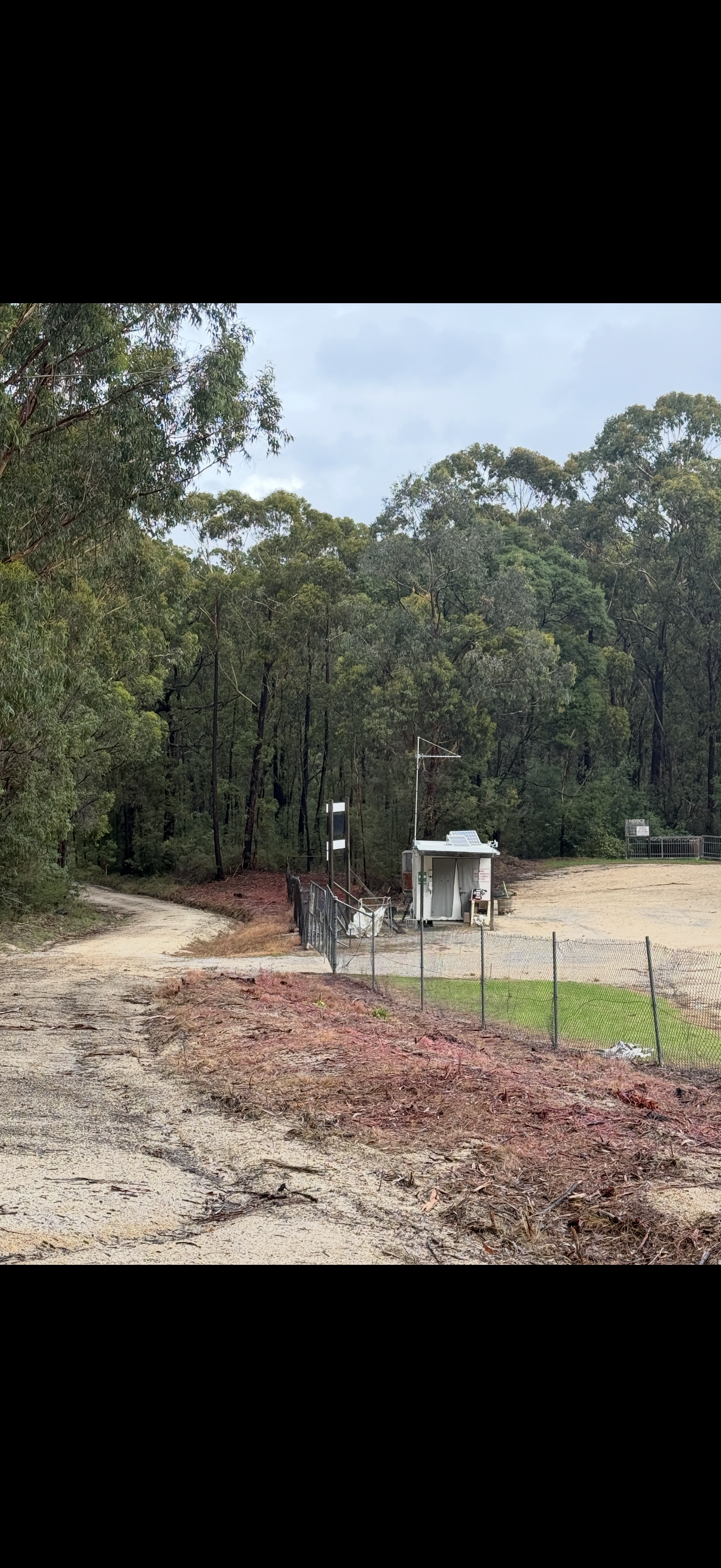 A Dirt Road Entering Forest.
