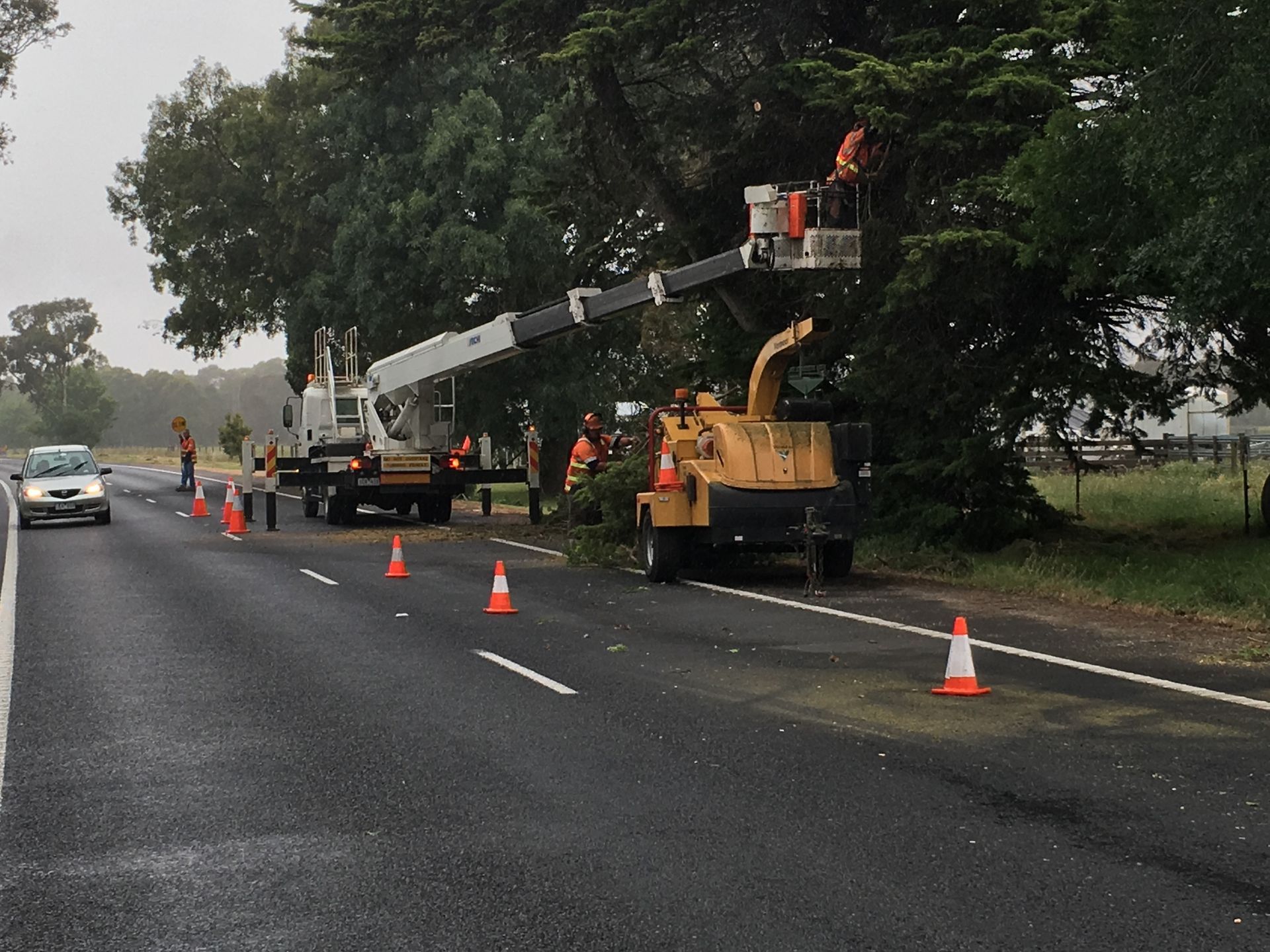 Roadwork crew using a boom lift to trim trees beside a wet highway, with cones marking the lane