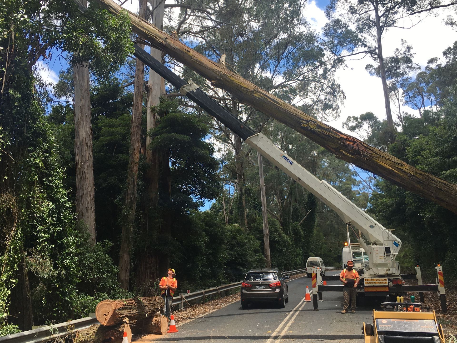 Fallen Tree Being Cleared From Road.
