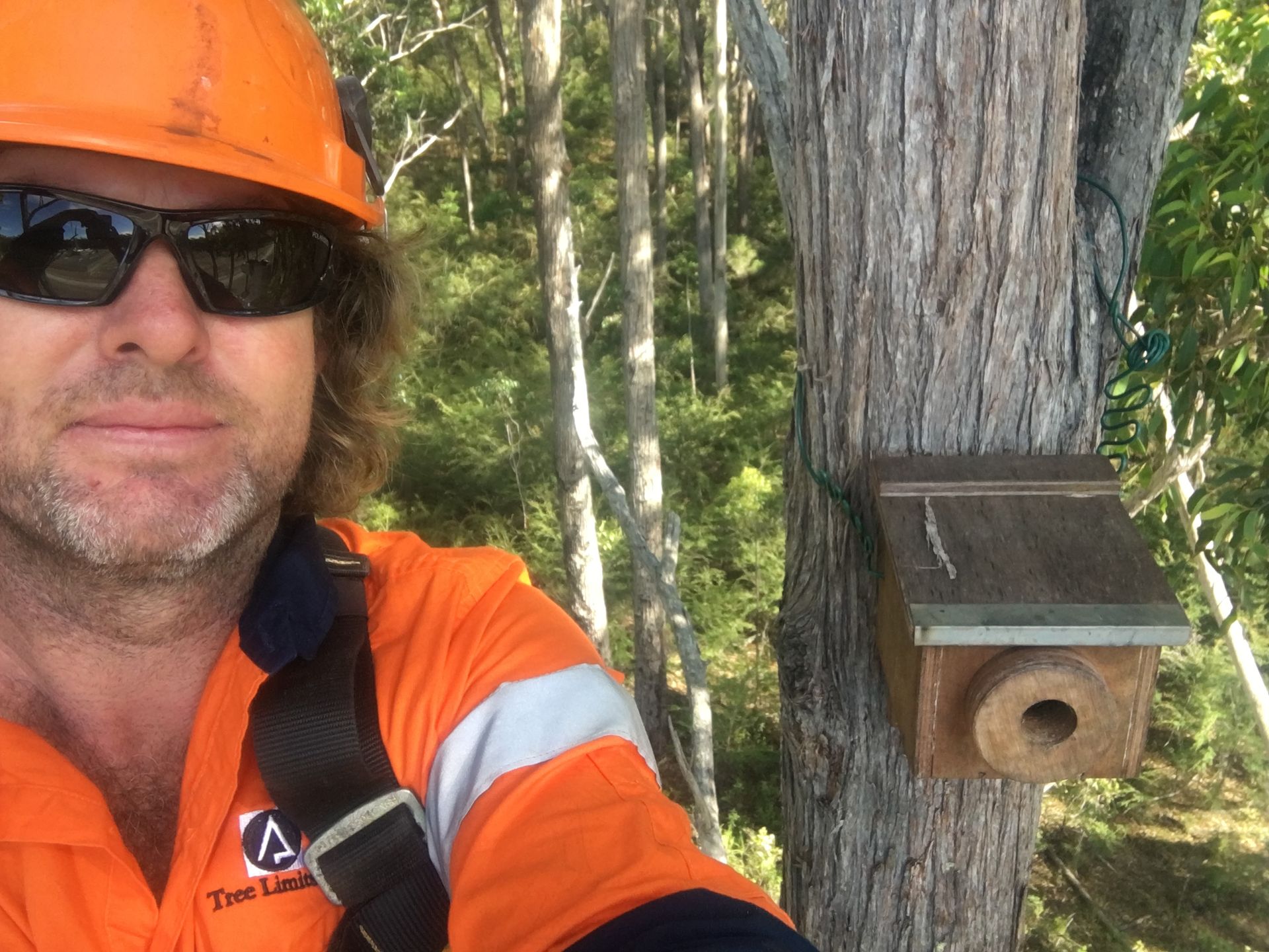 Arborist Installing A Habitat Box