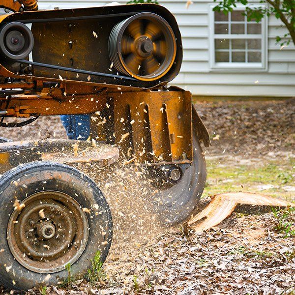 Stump Grinding — Decatur, Alabama — Mr. Green Jeans Lawn Service & Tree Service LLC