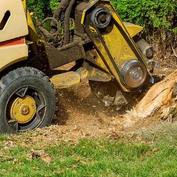 Stump Removal — Decatur, Alabama — Mr. Green Jeans Lawn Service & Tree Service LLC Stump Removal — Decatur, Alabama — Mr. Green Jeans Lawn Service & Tree Service LLC