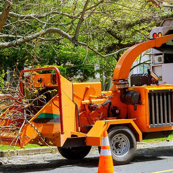 Wood Chipper Tree Branches — Decatur, Alabama — Mr. Green Jeans Lawn Service & Tree Service LLC Wood Chipper Tree Branches — Decatur, Alabama — Mr. Green Jeans Lawn Service & Tree Service LLC