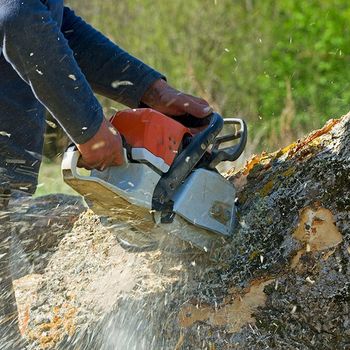 Man Cuts Fallen Tree — Decatur, Alabama — Mr. Green Jeans Lawn Service & Tree Service LLC Man Cuts Fallen Tree — Decatur, Alabama — Mr. Green Jeans Lawn Service & Tree Service LLC