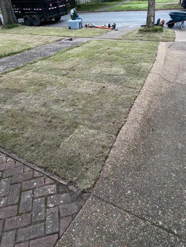Landscape Contractor Madison, AL