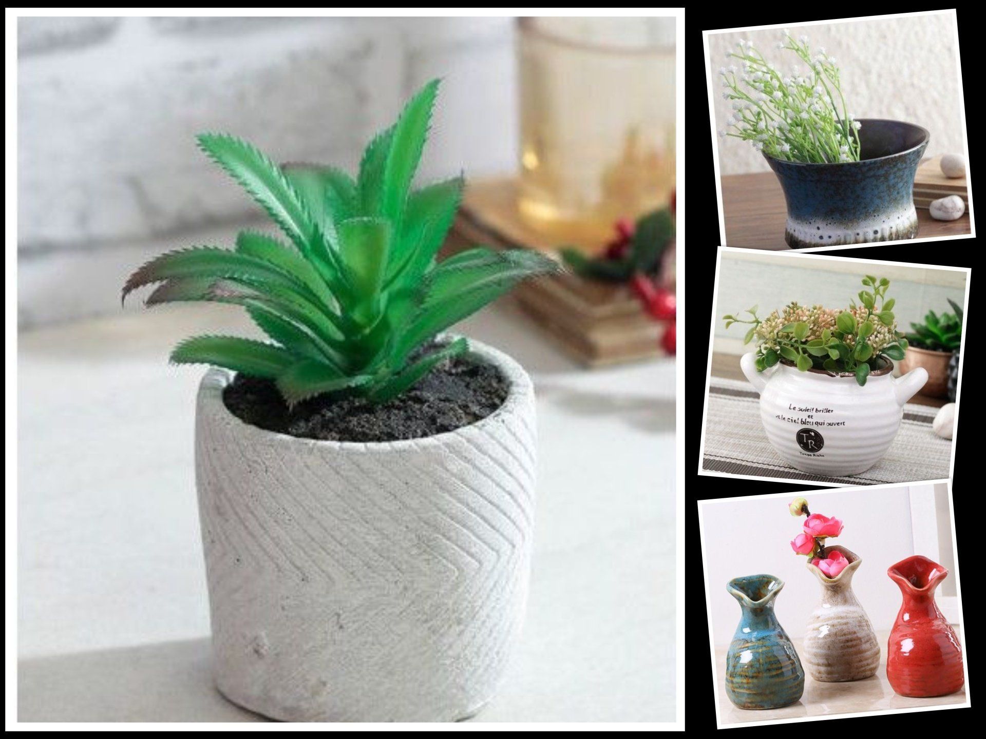 buy ceramic pots online