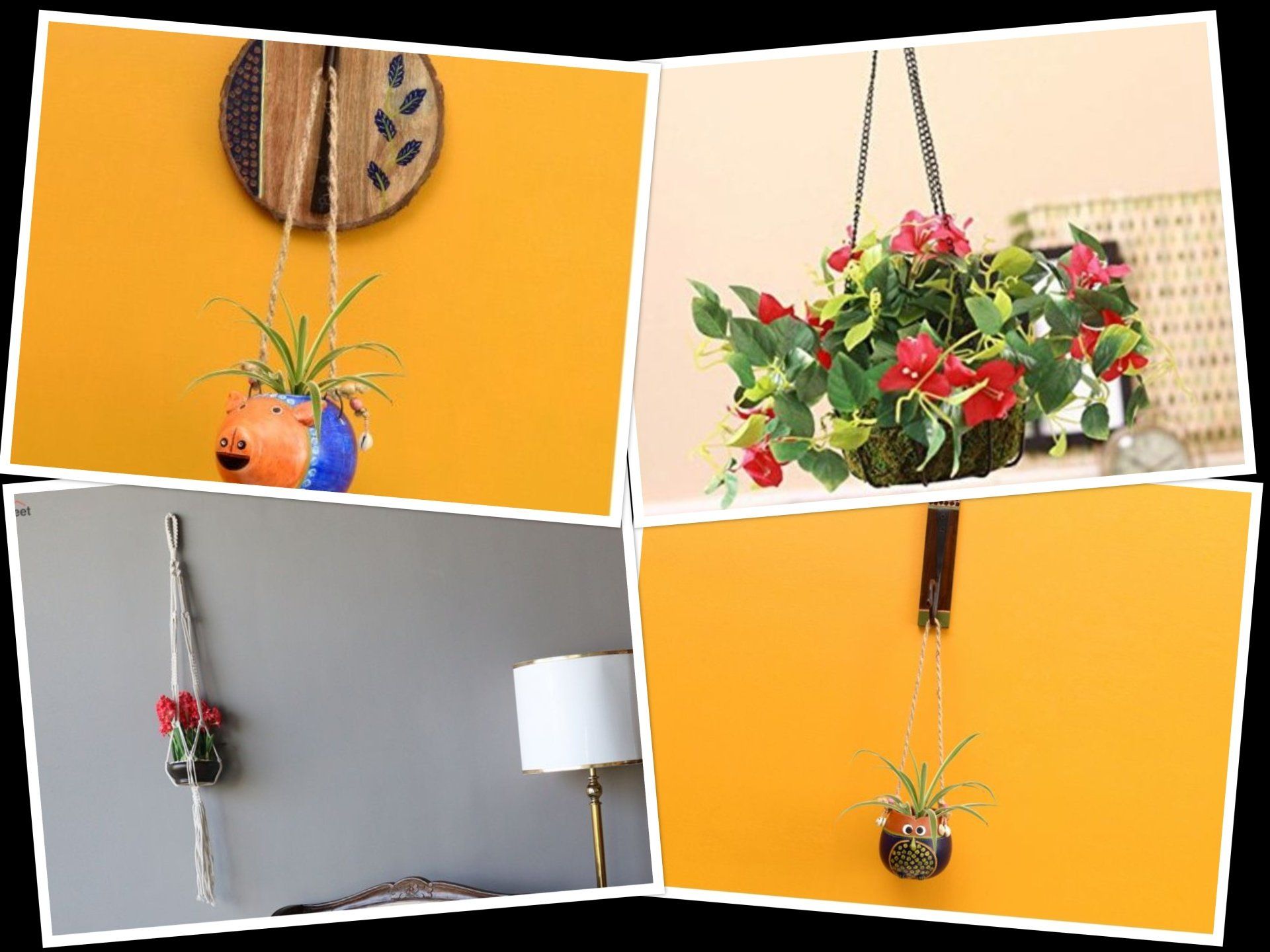 Hanging planters