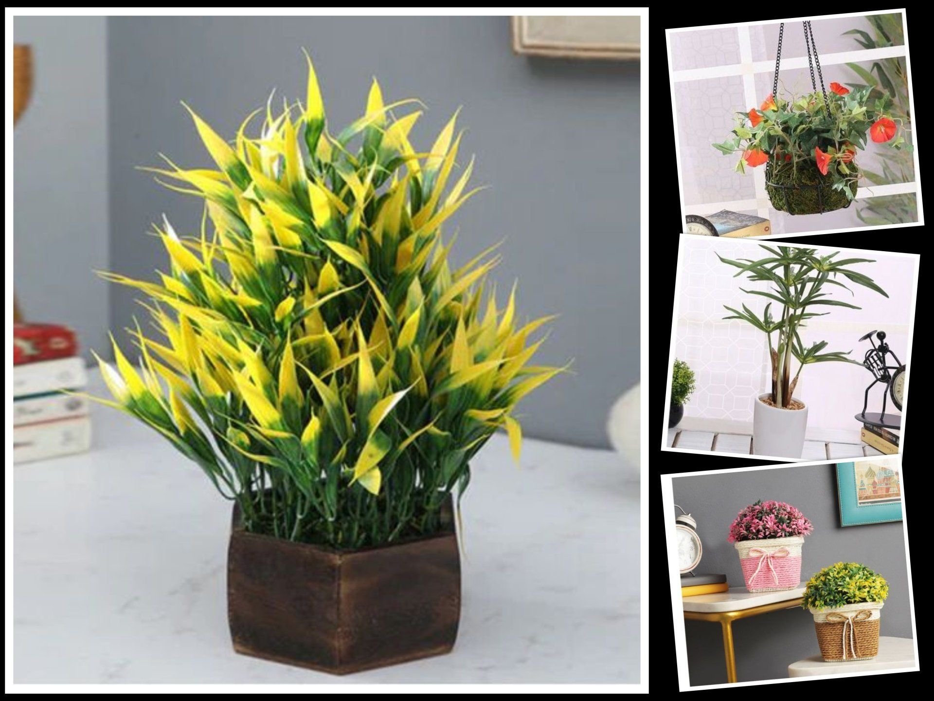 plant pots