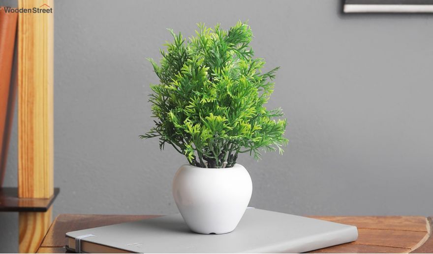 outdoor plant pots
