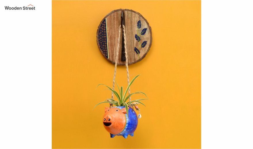 Hanging Planters from WoodenStreet