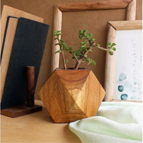 planters for indoor plants
