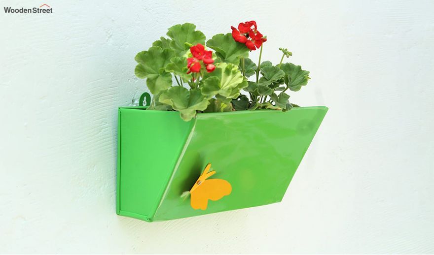 wall planters indoor